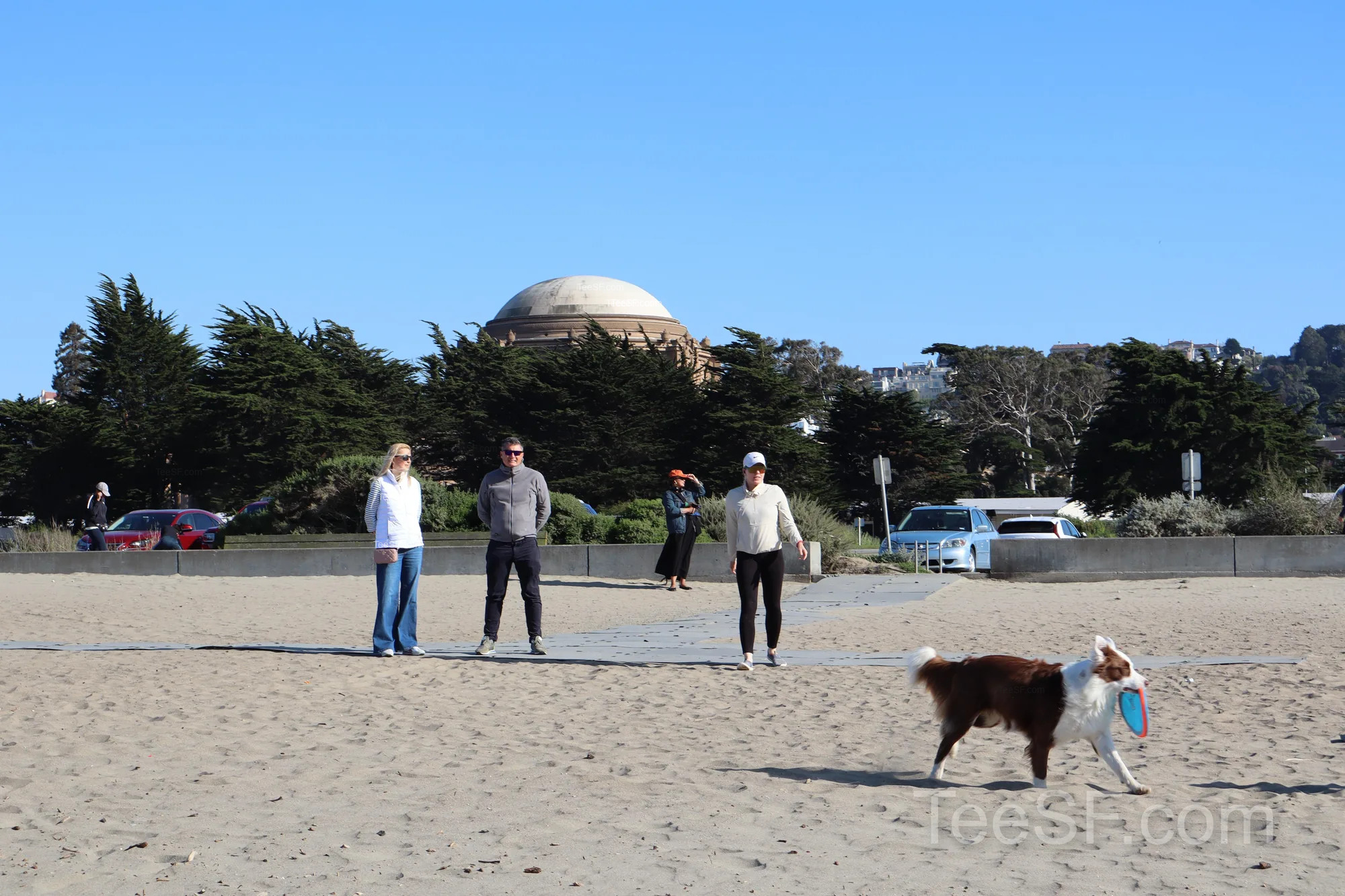 golden Gate Beach Dog And People during a Stripe Sessions 2026 visit in San Francisco.